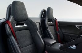 Cinturón de seguridad- Red - Lado izquierdo image